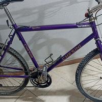 Chesini MTB