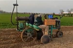 Seminatrice e pianta patate e bulbi