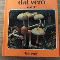 Manuali funghi Bruno CETTO