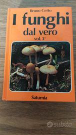 Manuali funghi Bruno CETTO