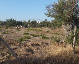 Terreno agricolo edificabile