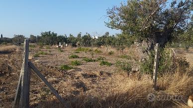 Terreno agricolo edificabile