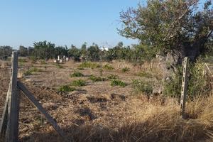 Terreno agricolo edificabile