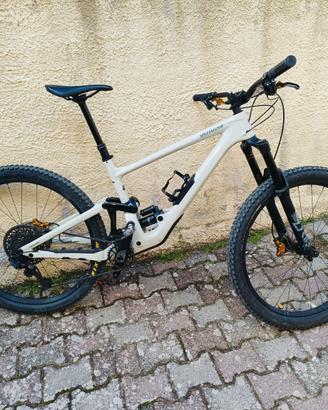 Specialized enduro