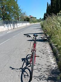 Bicicletta Artigianale
