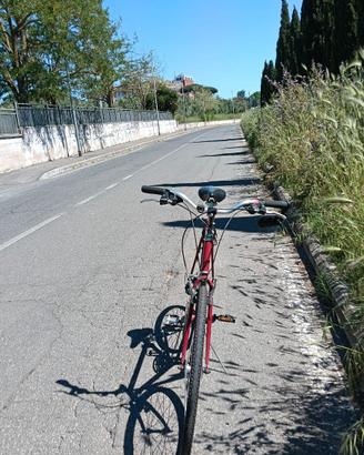 Bicicletta Artigianale