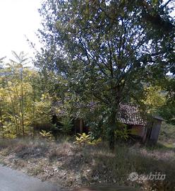 Casale di vecchia costruzione e terreno