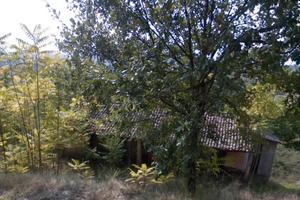 Casale di vecchia costruzione e terreno