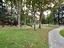 Immagine 16