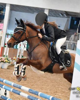 Pony super