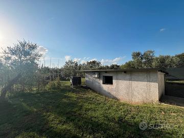 Poli: rustico uso magazzino con terreno