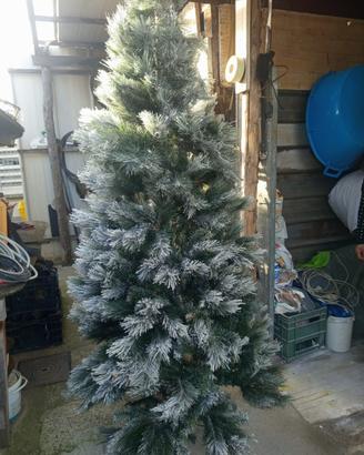 Albero di natale