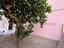 Immagine 16