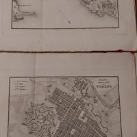 antiche piante cittadine