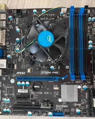 Kit Scheda Madre MSI B75MA-P45