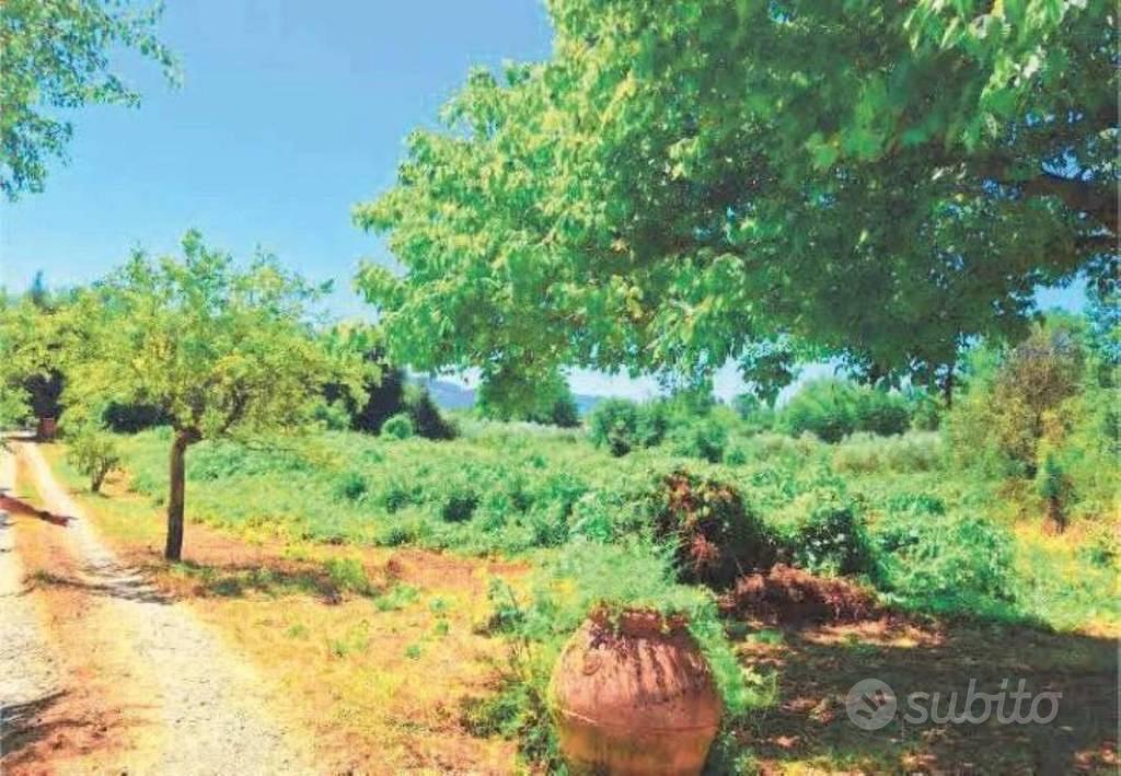 Immobile in asta di 117 m² a Maenza - Altro