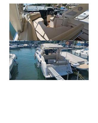 bayliner 3055