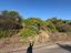 Immagine 11