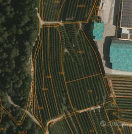 Meleto - zona magazzino cocea taio