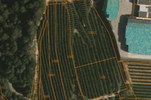 Meleto - zona magazzino cocea taio