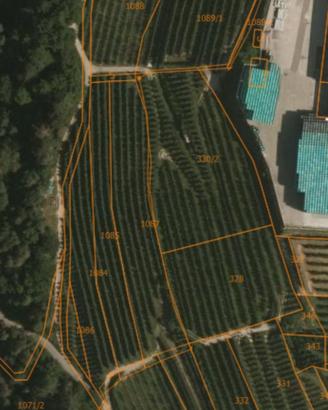 Meleto - zona magazzino cocea taio