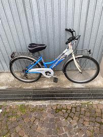 Bicicletta Alpina