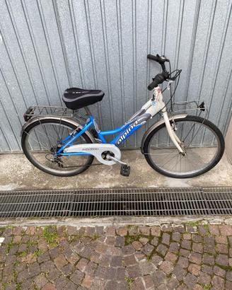 Bicicletta Alpina
