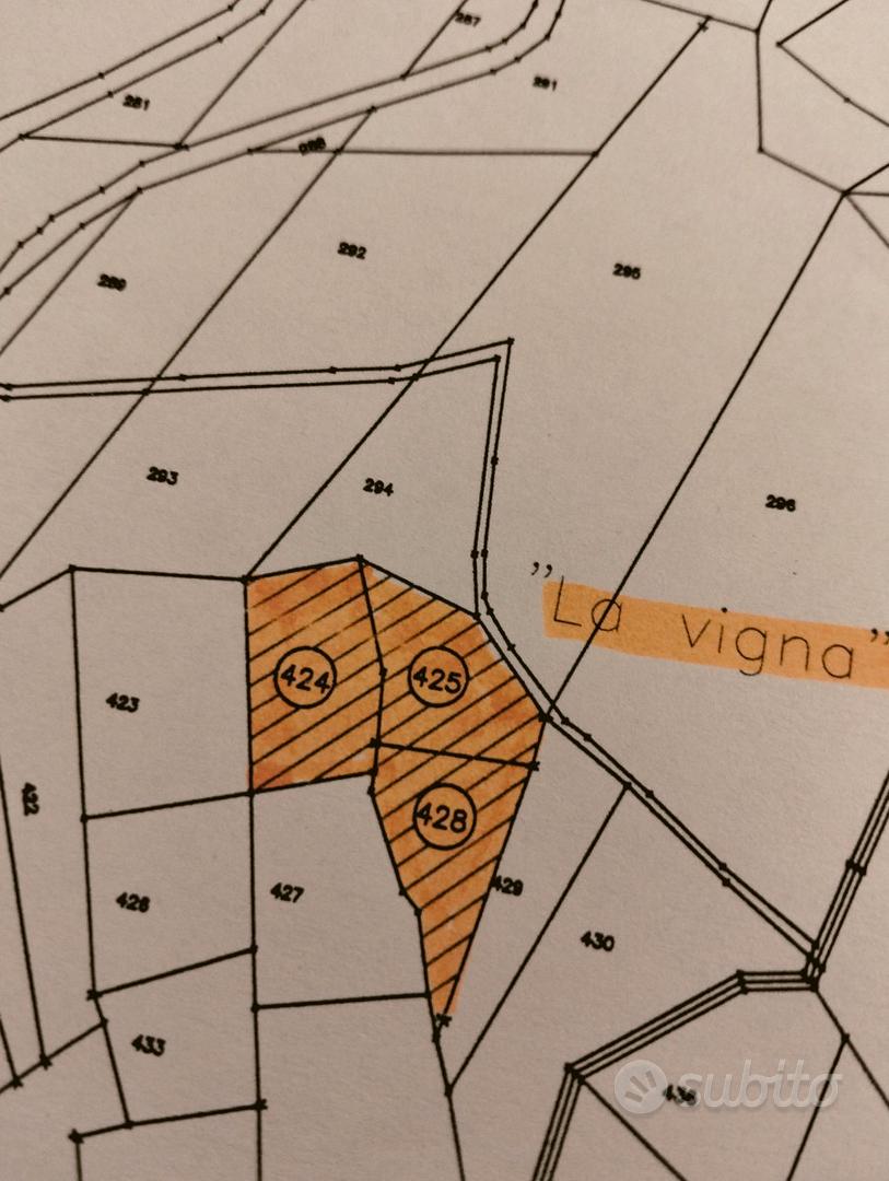 Capanno di caccia con terreno - Vista 3