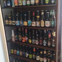 Collezione 185 bottiglie di birra vuote 