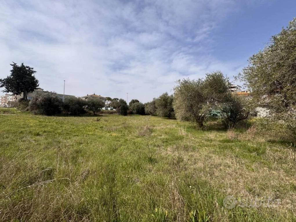 Immobile in asta di 3883 m² a Morro d'Oro - Vista 3