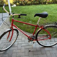 Biciclette in buono stato