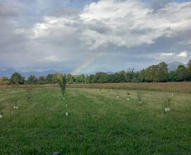 Terreno agricolo