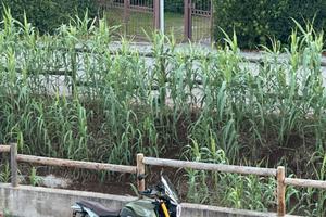 Moto Morini Seiemezzo