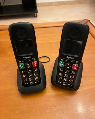 Telefono cordless Siemens - coppia