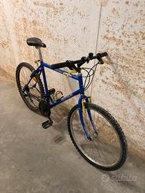 Mountain Bike Rockrider 300 – Buone condizioni