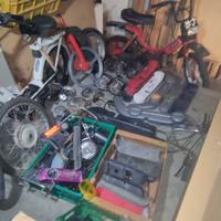 ciao si bravo boxer grillo super bravo eco cba