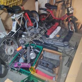 ciao si bravo boxer grillo super bravo eco cba