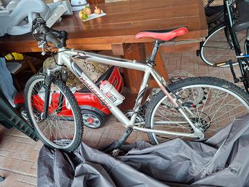 bici mountain bike bottecchia