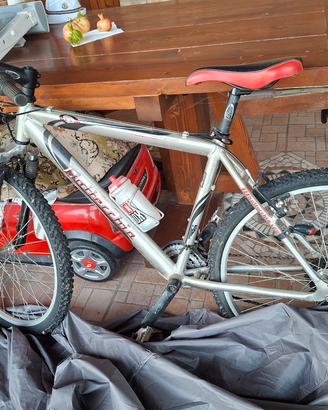 bici bottecchia