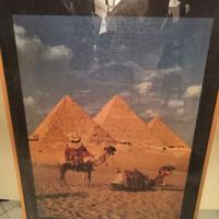 5 quadri con cornici in legno