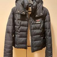 piumino hollister