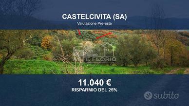 Immobile in asta di 6433 m² a Castelcivita