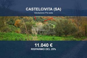 Immobile in asta di 6433 m² a Castelcivita