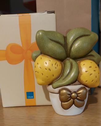 piantina limoni thun