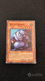 ratto gigante SD7