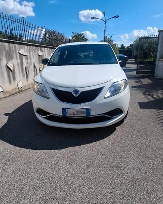 Lancia Ypsilon 1.3 MJT 16V 95 CV 5 porte S&S Plati