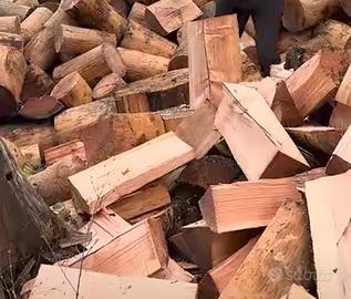 legna da ardere secca 