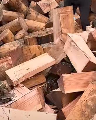 legna da ardere secca 