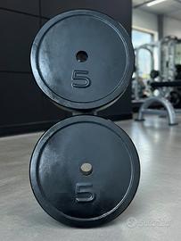 Dischi da 5kg per bilanciere in cemento