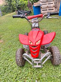 mini quad per bambini 